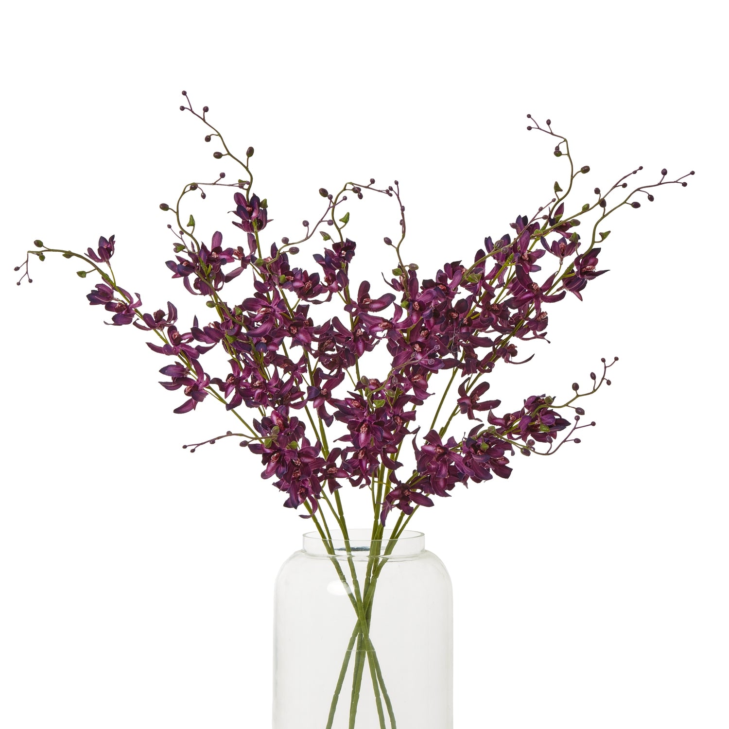 Purple Cymbidium Spray [cid:23872-b]