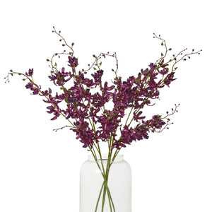 Purple Cymbidium Spray [cid:23872-b]