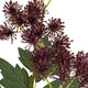 Purple French Meadow Spray_5438