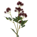 Purple French Meadow Spray_5436