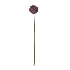  [cid:23849]