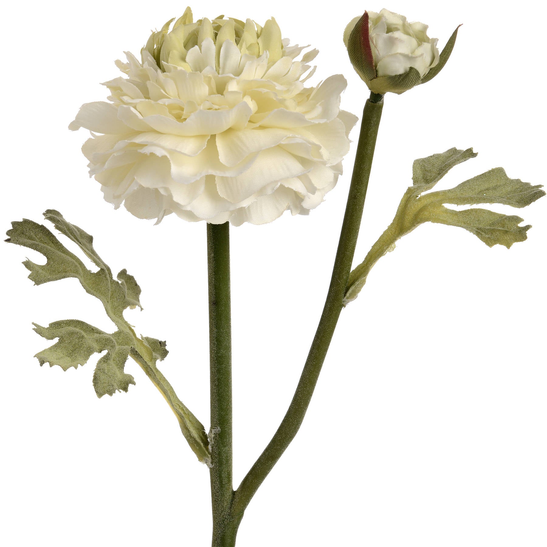 Green Ranunculus Spray_4953