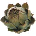 Real Touch Artificial Artichoke_5455