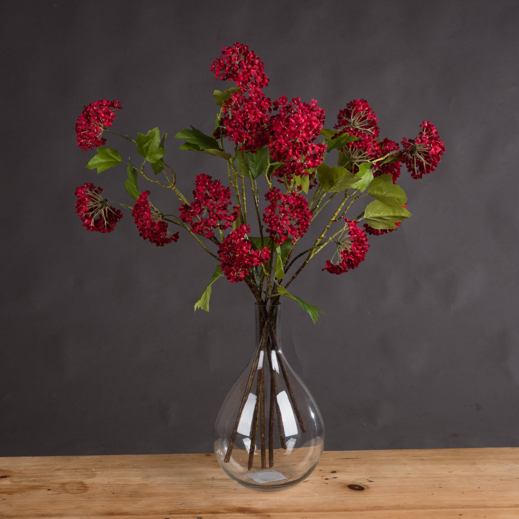 Red Autumnal Viburnum_5460