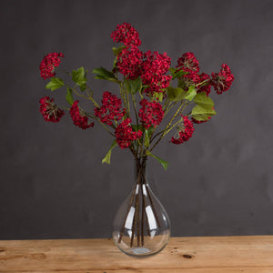 Red Autumnal Viburnum_5460