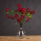Red Autumnal Viburnum_5460
