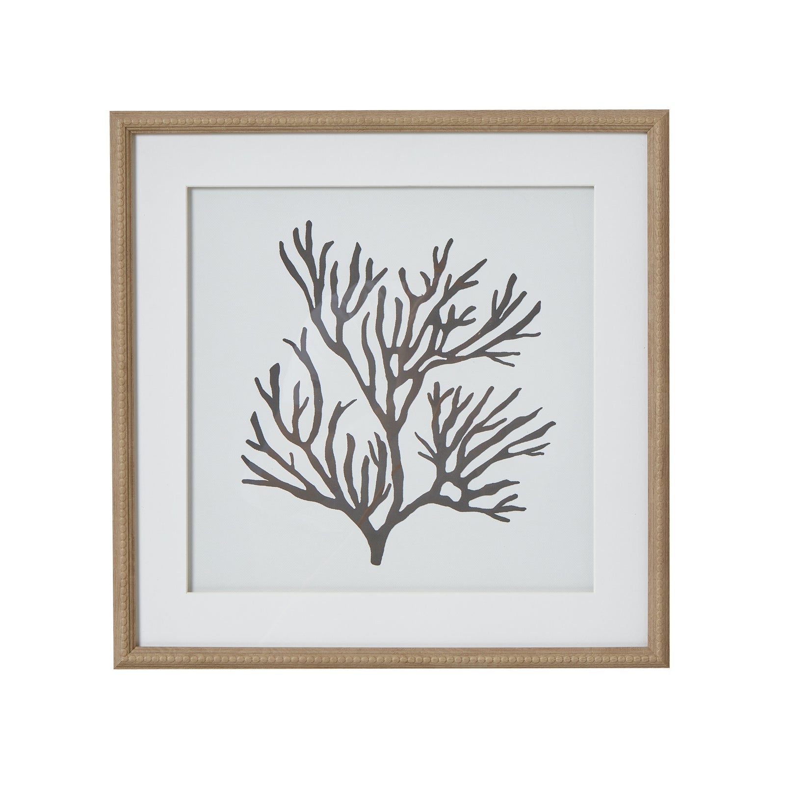 Reef Coral Art Mounted In Beaded Frame_3873