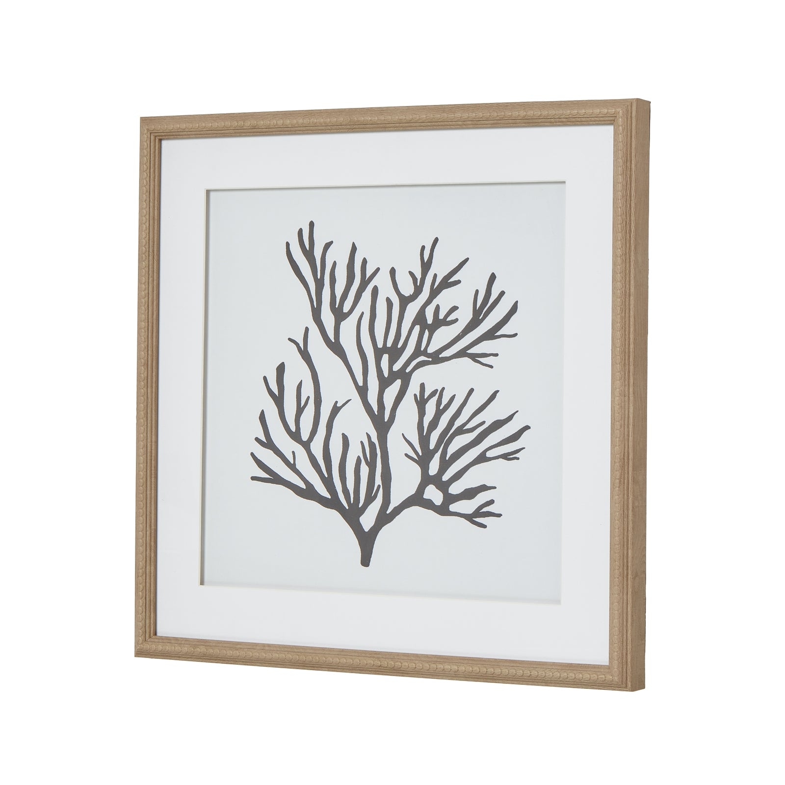 Reef Coral Art Mounted In Beaded Frame_3874