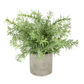 Rosemary Plant In Stone Effect Pot_2833