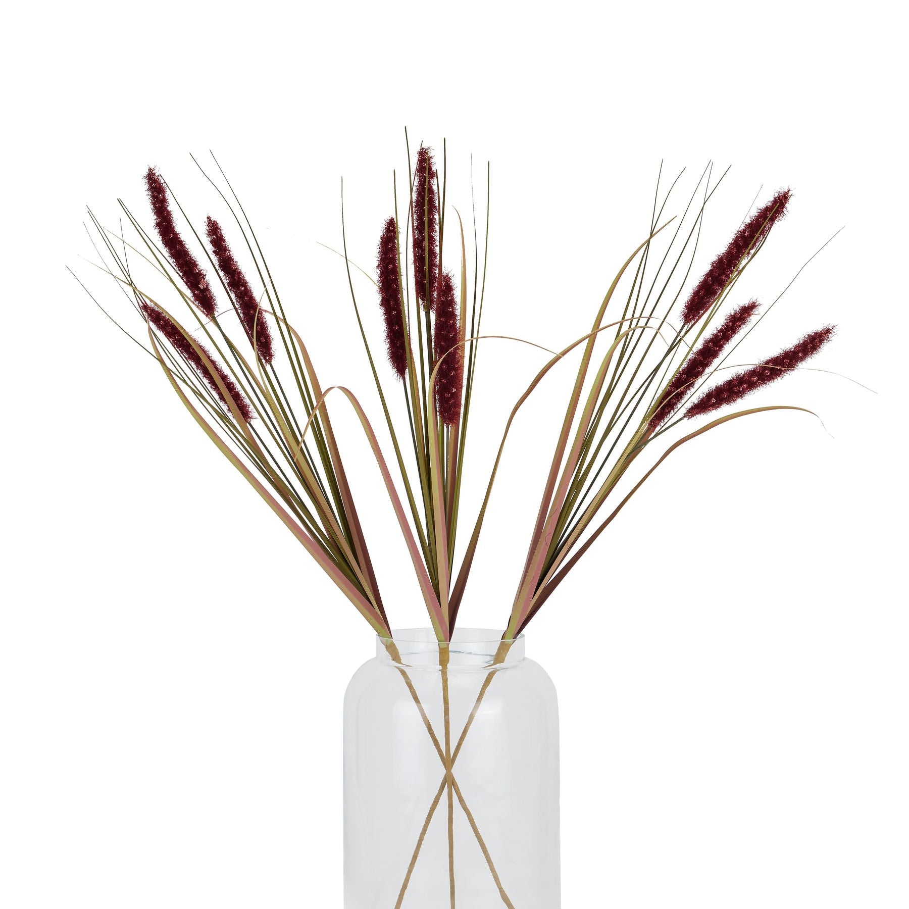 Ruby Triple Grass Stem_5477