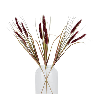 Ruby Triple Grass Stem_5477