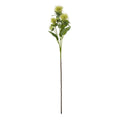 Green Safflower Spray [cid:23815]