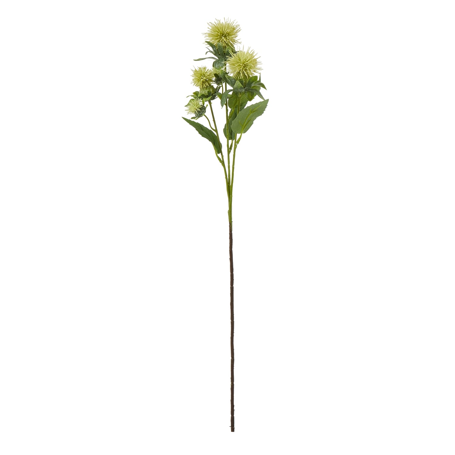 Green Safflower Spray [cid:23815]