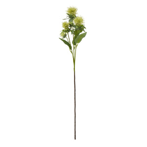 Green Safflower Spray [cid:23815]