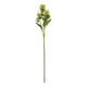 Green Safflower Spray [cid:23815]
