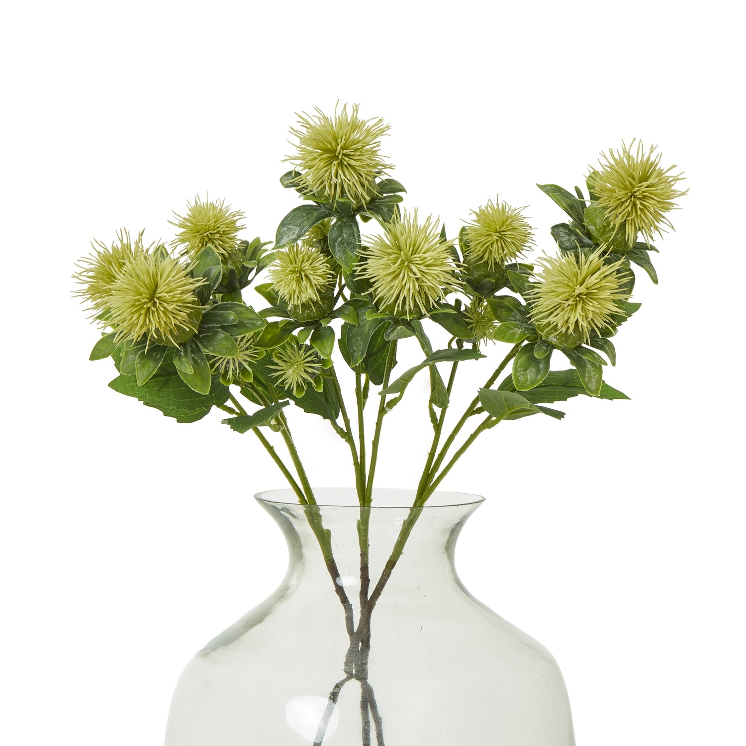 Green Safflower Spray [cid:23815-b]