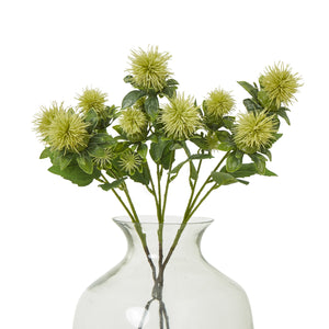 Green Safflower Spray [cid:23815-b]