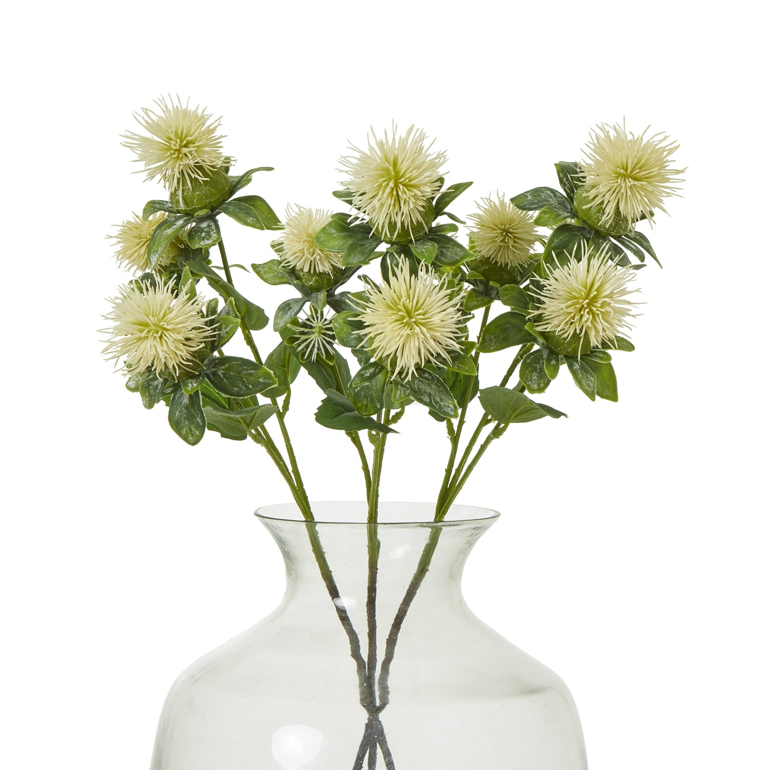 Cream Safflower Spray [cid:23816-b]