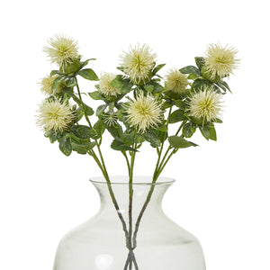 Cream Safflower Spray [cid:23816-b]