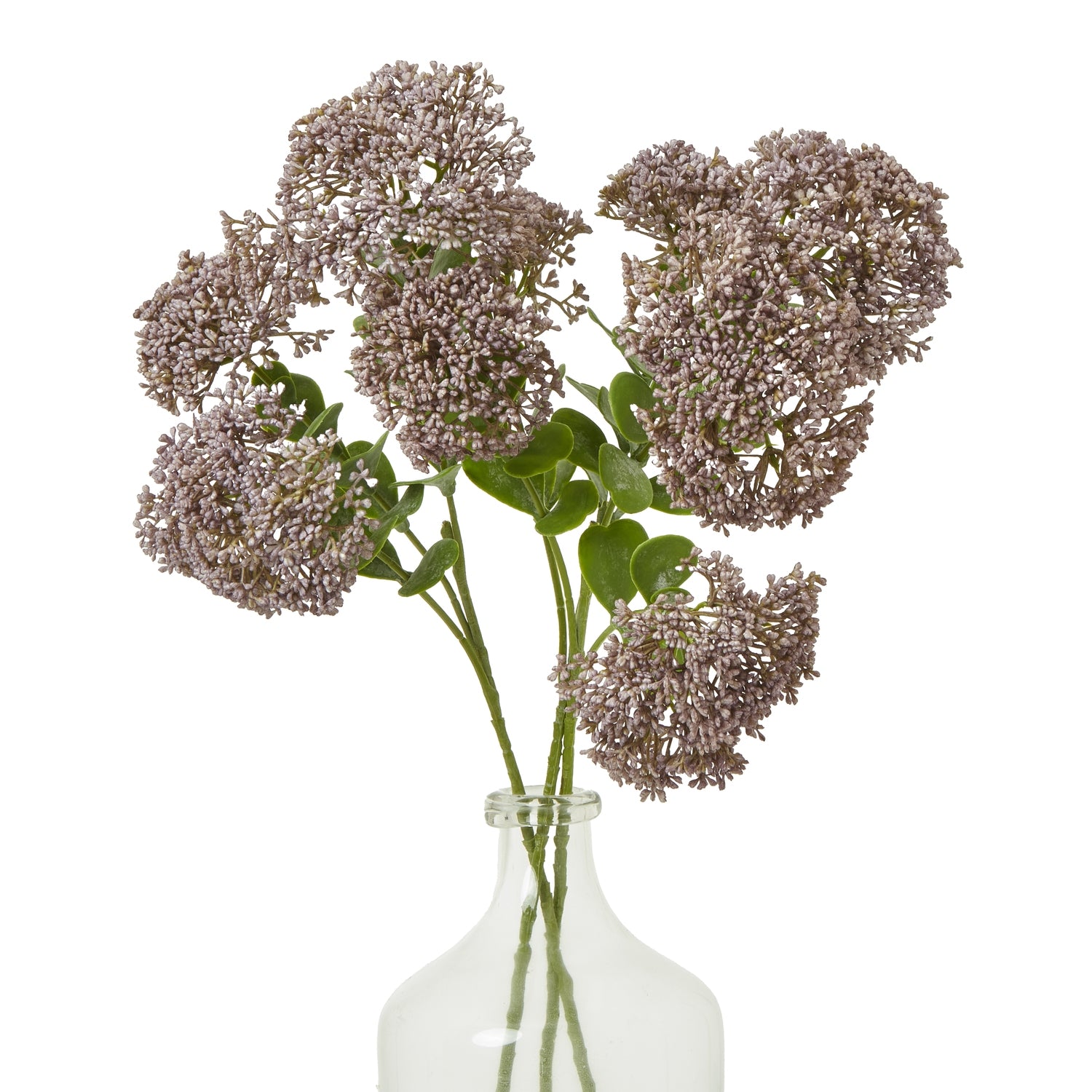 Purple Sedum Spray [cid:23825-b]