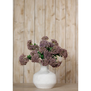 Purple Sedum Spray [cid:23825-c]