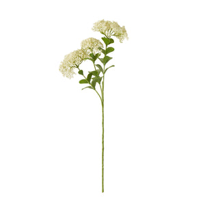 Cream Sedum Spray [cid:23824]