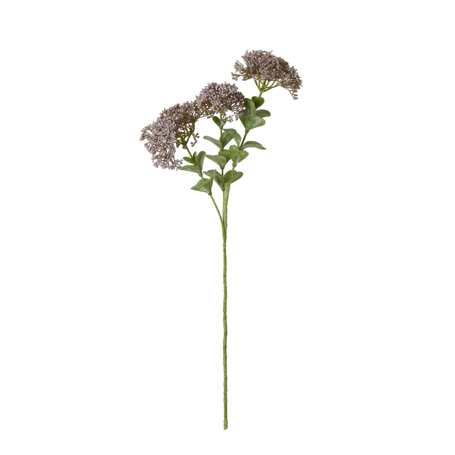 Purple Sedum Spray [cid:23825]