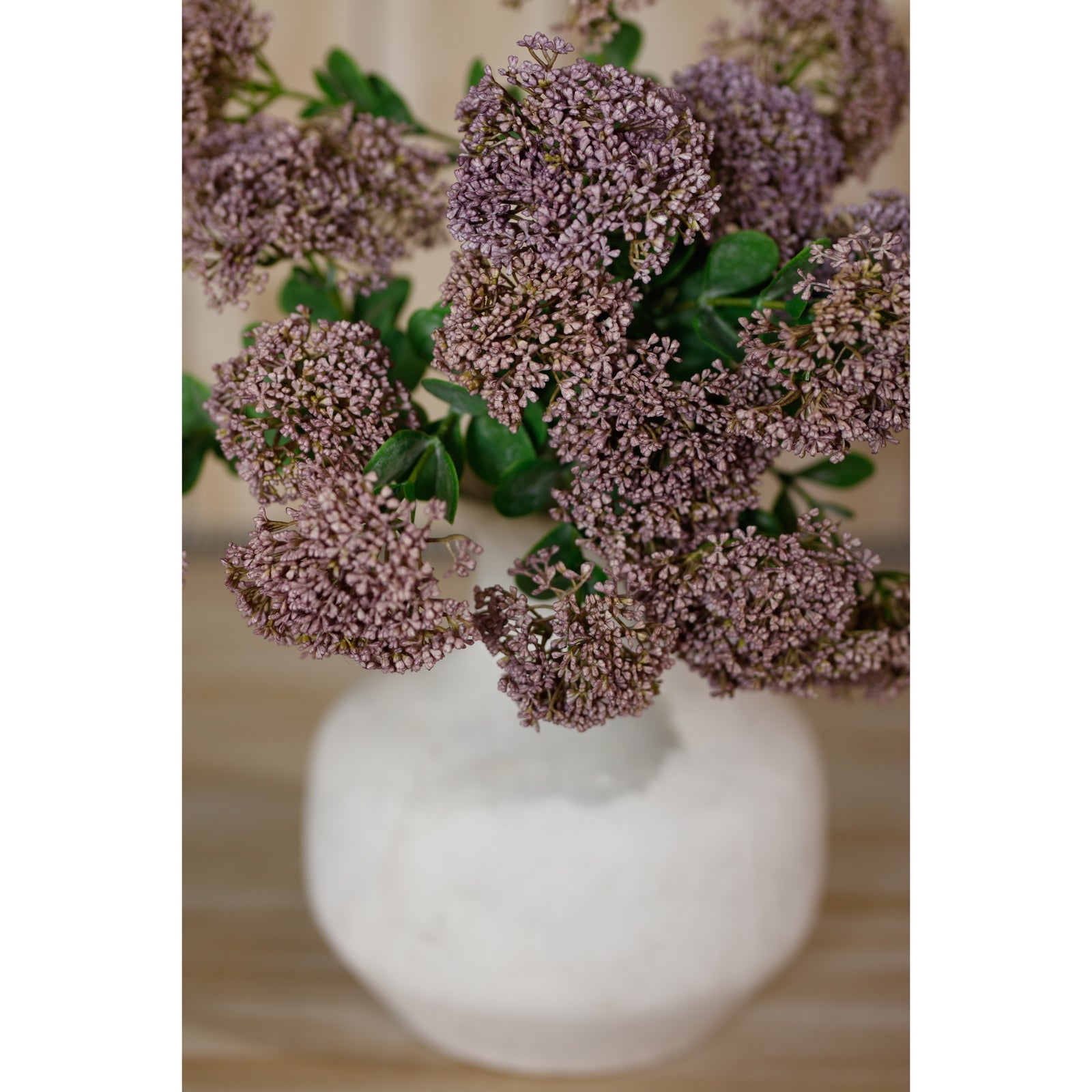 Purple Sedum Spray [cid:23825-d]