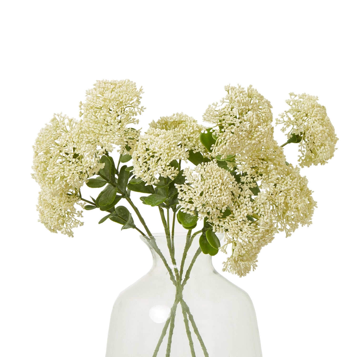 Cream Sedum Spray [cid:23824-b]
