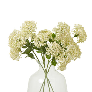 Cream Sedum Spray [cid:23824-b]