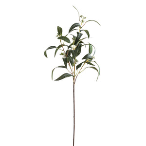 Seeded Eucalyptus Spray_5478