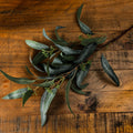 Seeded Eucalyptus Spray_5479