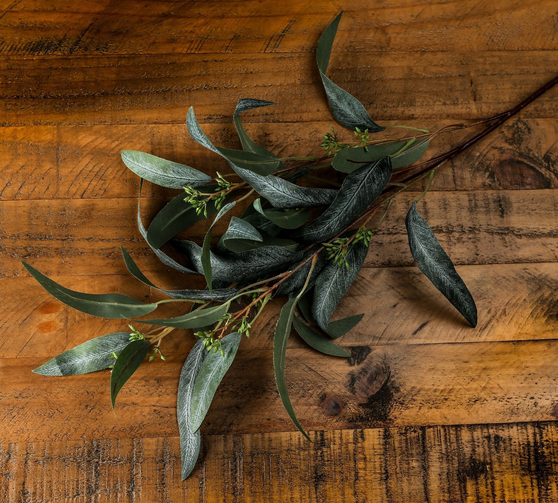 Seeded Eucalyptus Spray_5479
