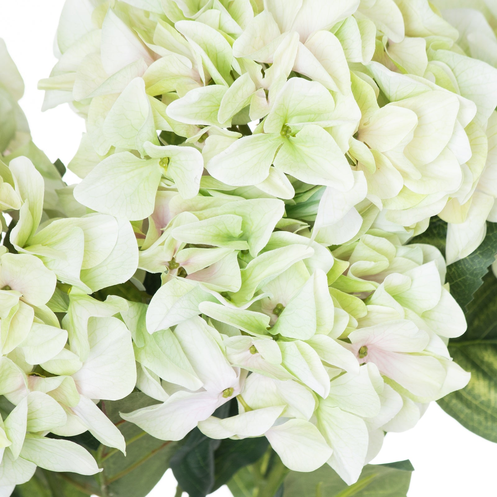 Shabby Green Hydrangea Bouquet [cid:21068-c]