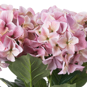 Shabby Pink Hydrangea Bouquet [cid:21067-b]