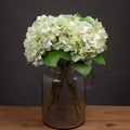 Shabby Single Hydrangea_5488
