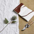 Pale Green Blue Short Chrysanthemum_5327