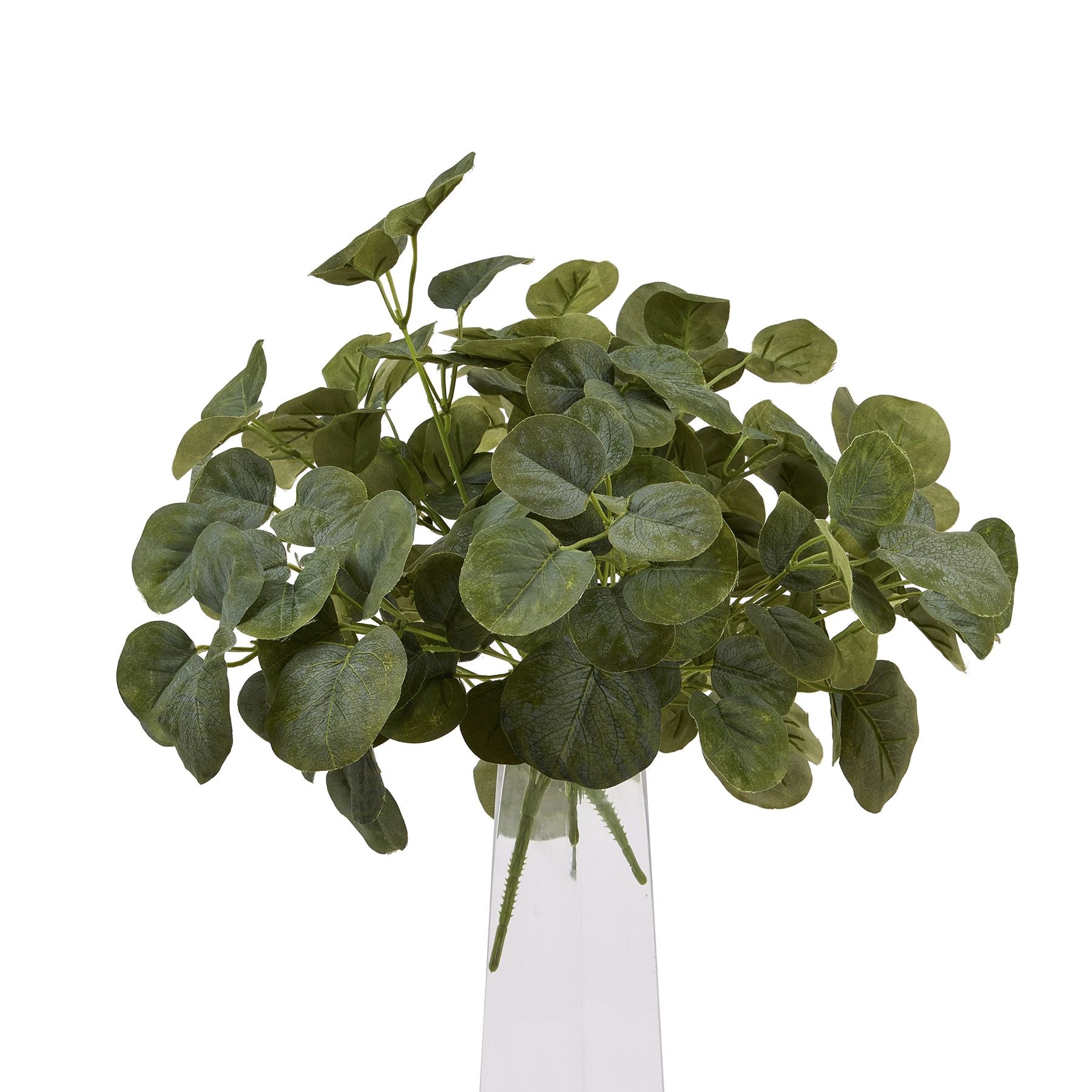 Short Eucalyptus Bunch_5504