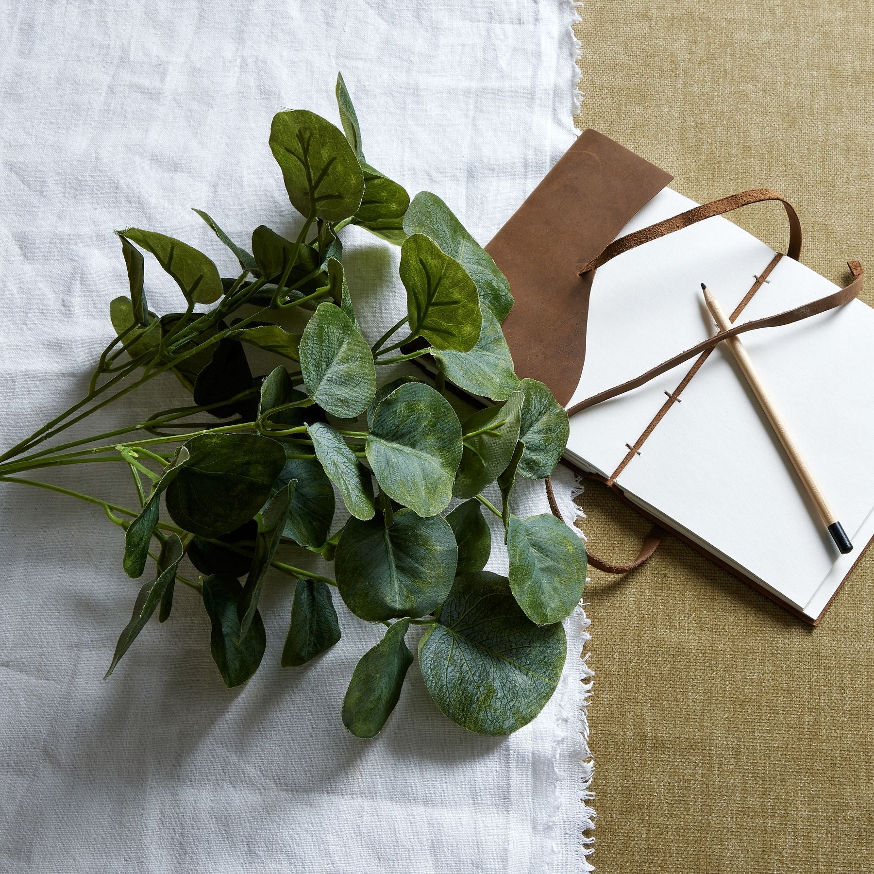 Short Eucalyptus Bunch_5500