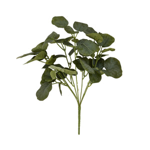 Short Eucalyptus Bunch_5503