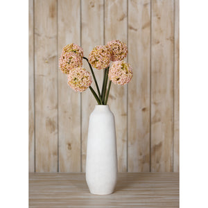 Pink Allium Stem [cid:23866-c]