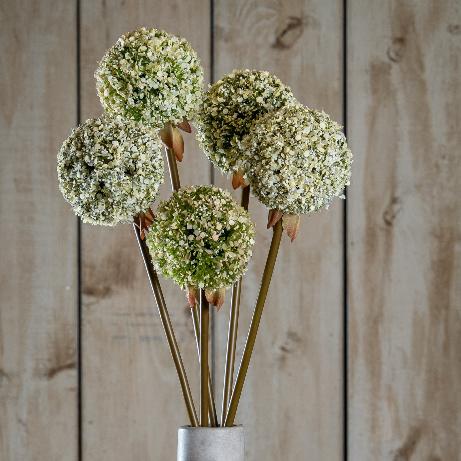 Green Allium Stem [cid:23851]
