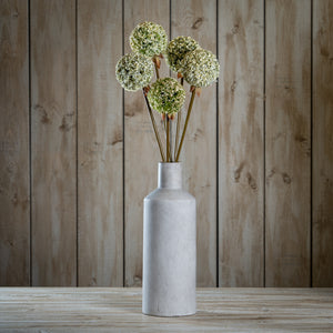 Green Allium Stem [cid:23851-a]