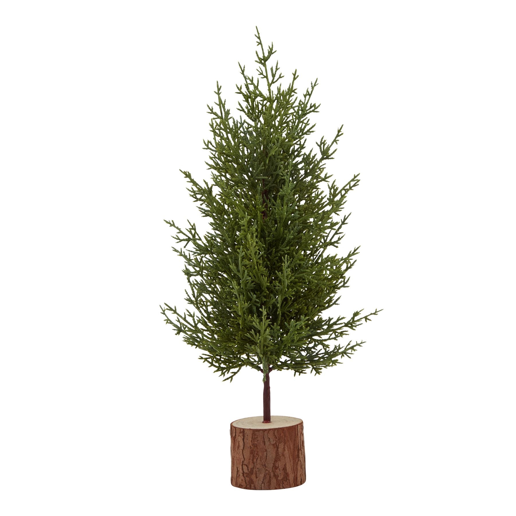 Small Green Fir Tree In Wood Log_3192