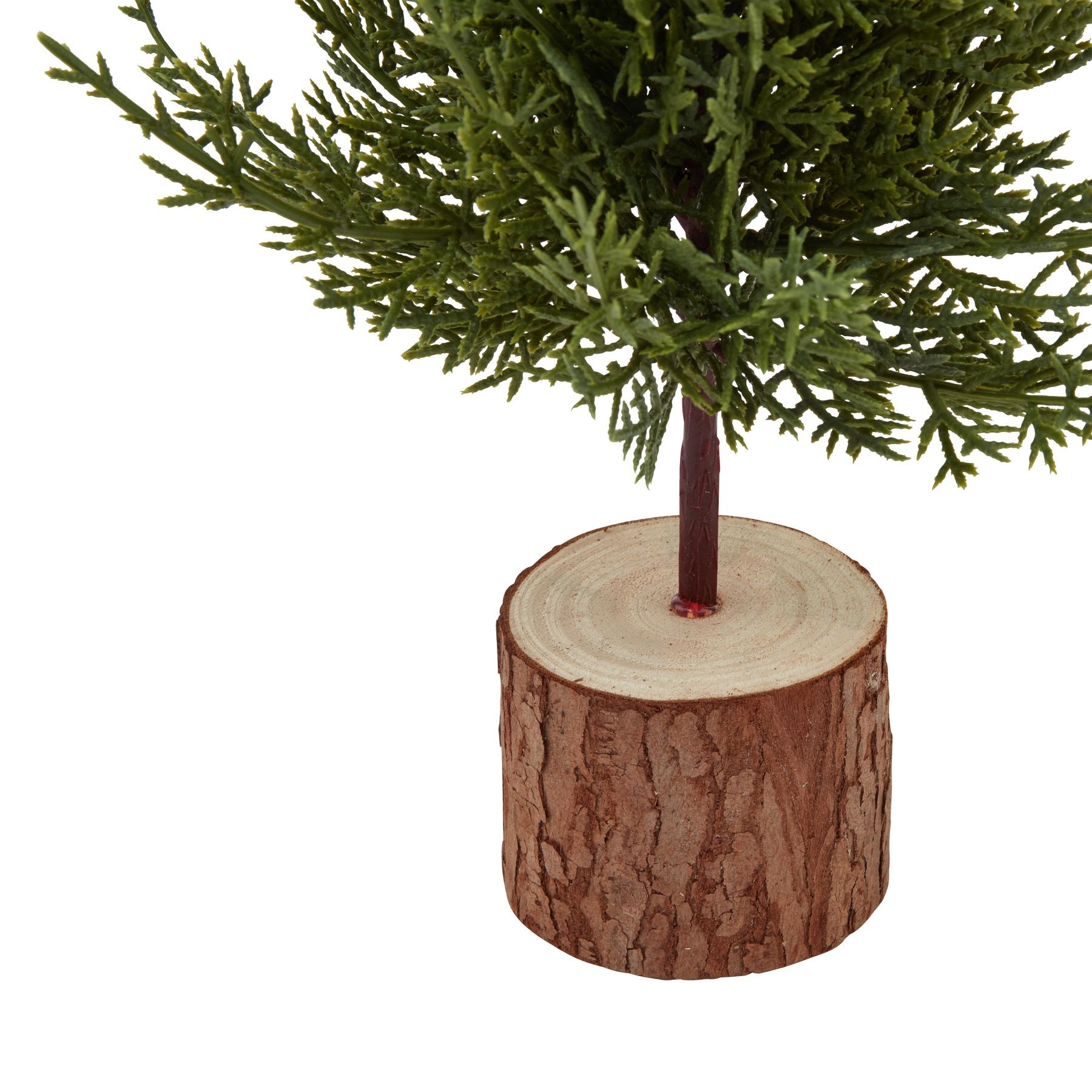Small Green Fir Tree In Wood Log_3194