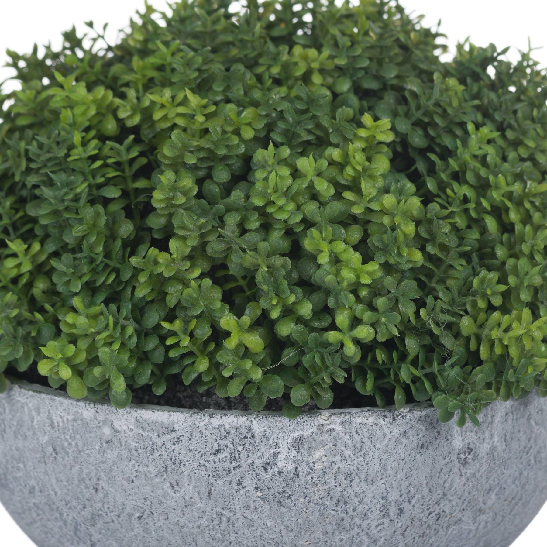 Small Hebe Globe Pot_5533