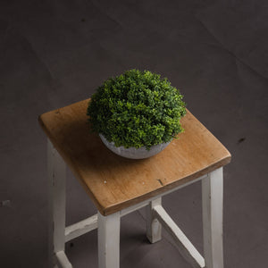 Small Hebe Globe Pot_5530