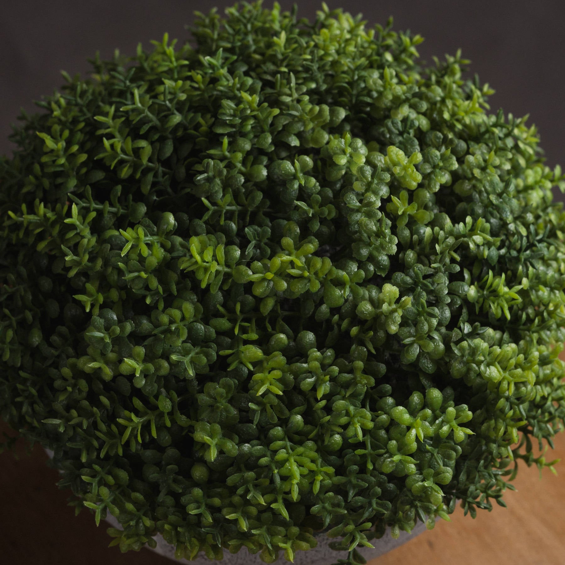 Small Hebe Globe Pot_5531