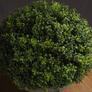 Small Hebe Globe Pot_5531
