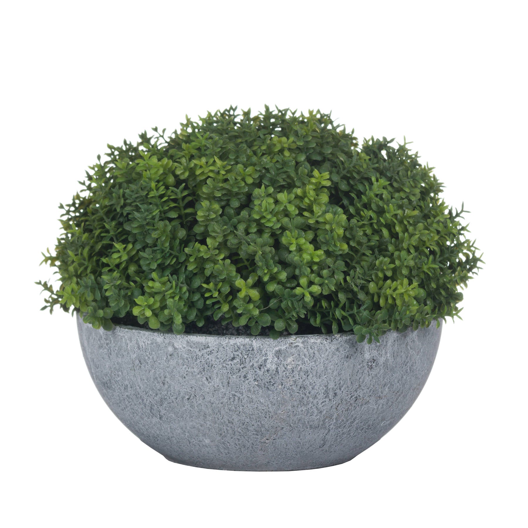 Small Hebe Globe Pot_5532